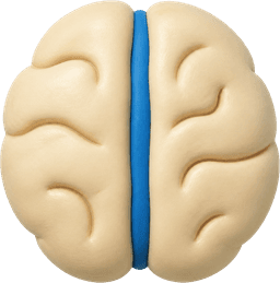 a clay brain