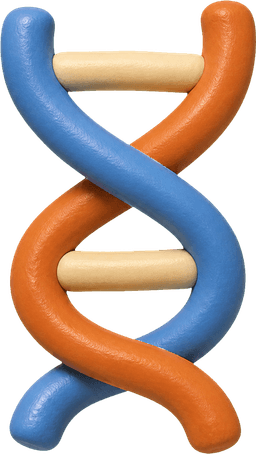 a clay DNA helix